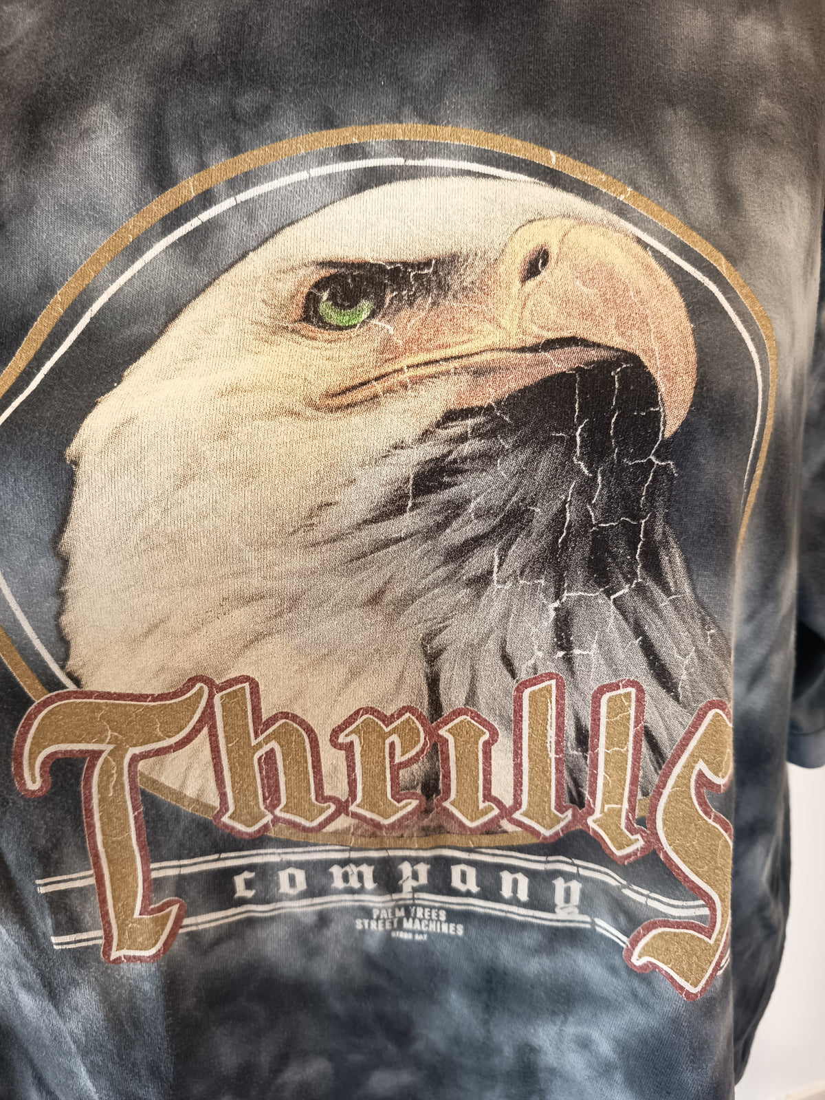Thrills Eagle Oversized Tee