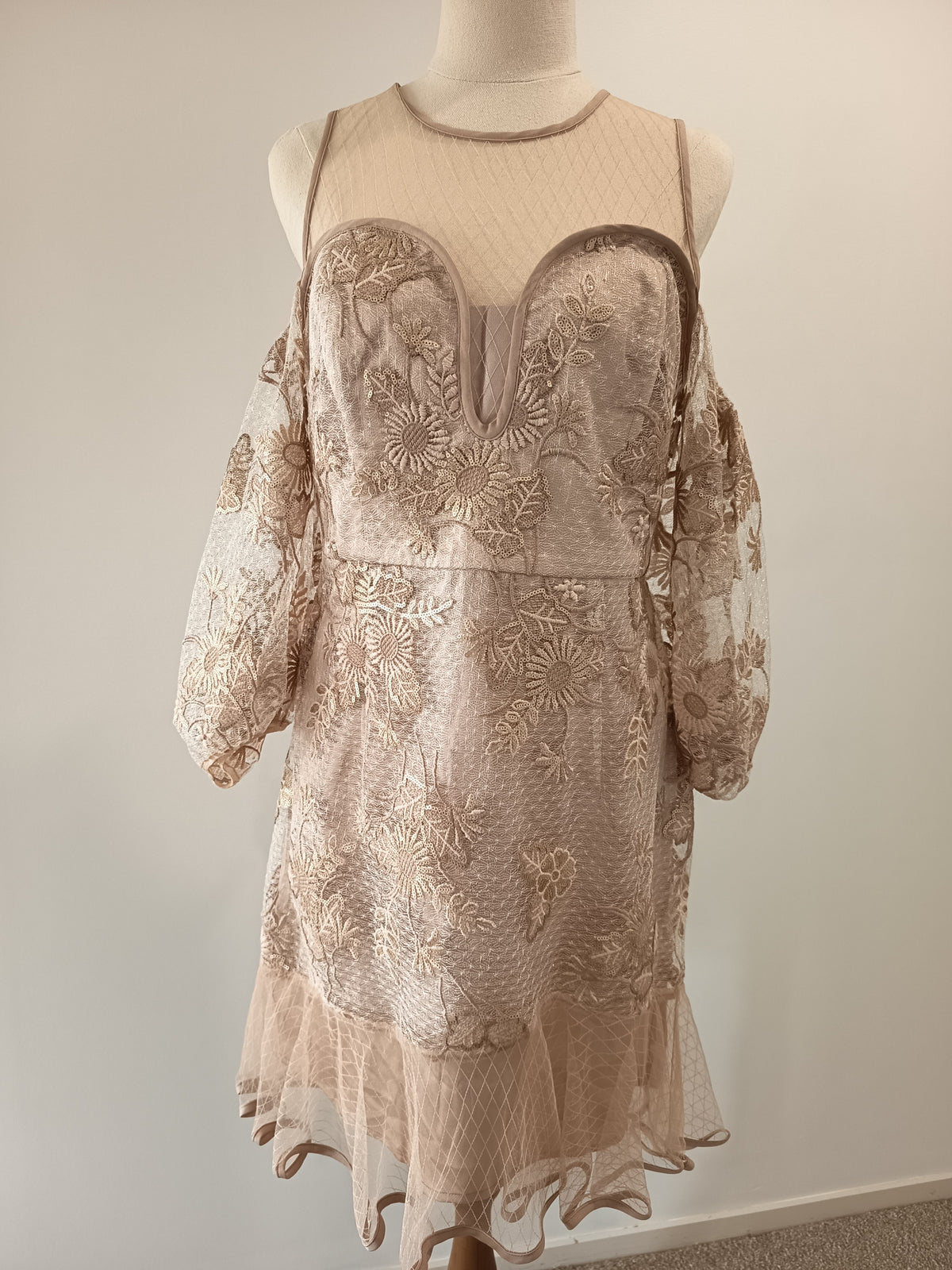 Alice McCall Mystery Mini Dress (14)