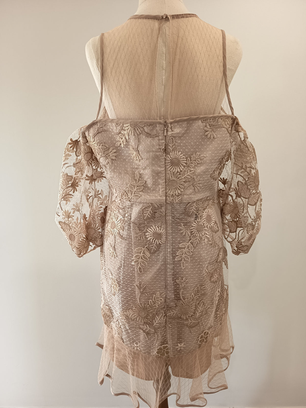 Alice McCall Mystery Mini Dress (14)