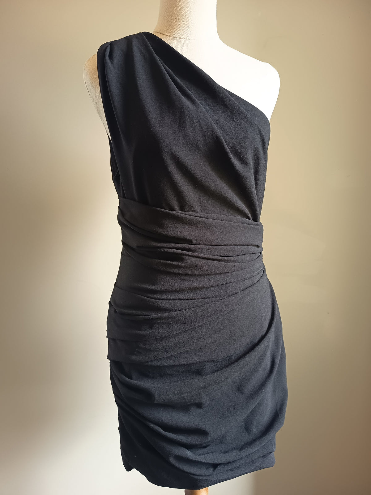 Camilla and Marc Percale Mini Dress (8)