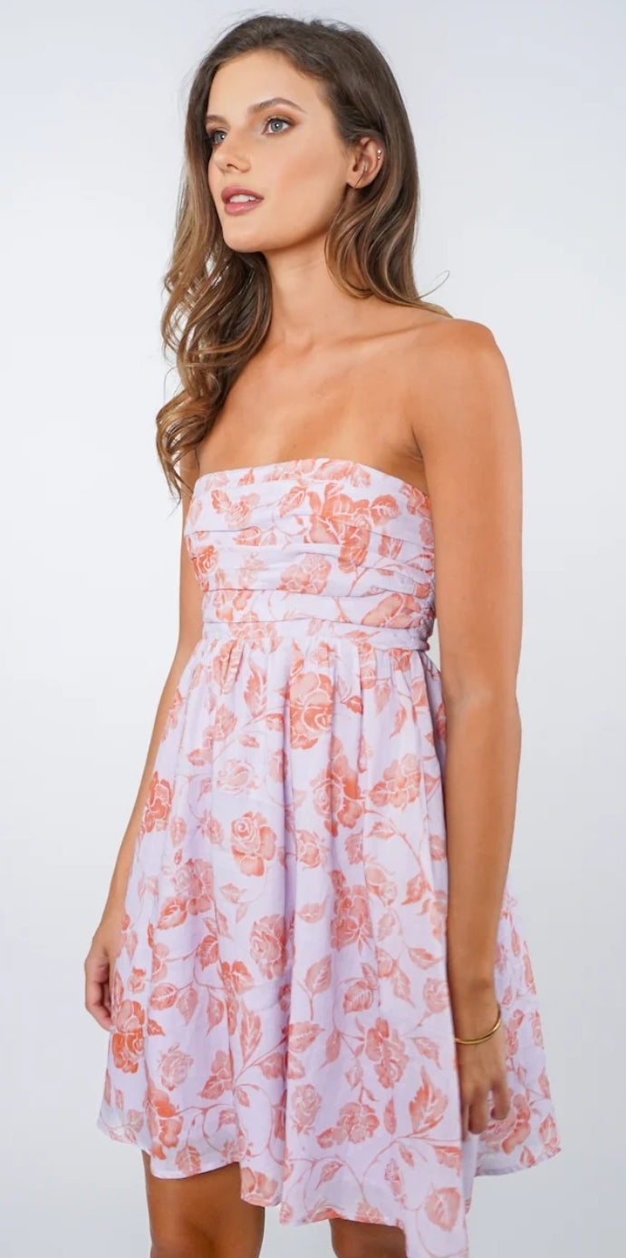 Lakeyo Emerita Mini Dress