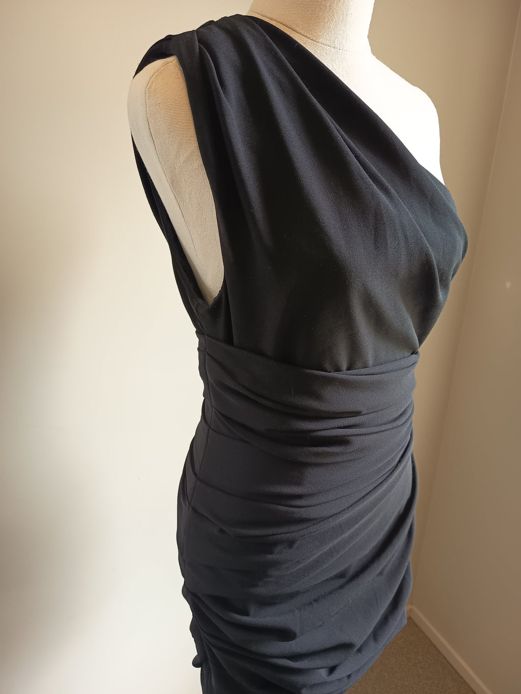 Camilla and Marc Percale Mini Dress (8)