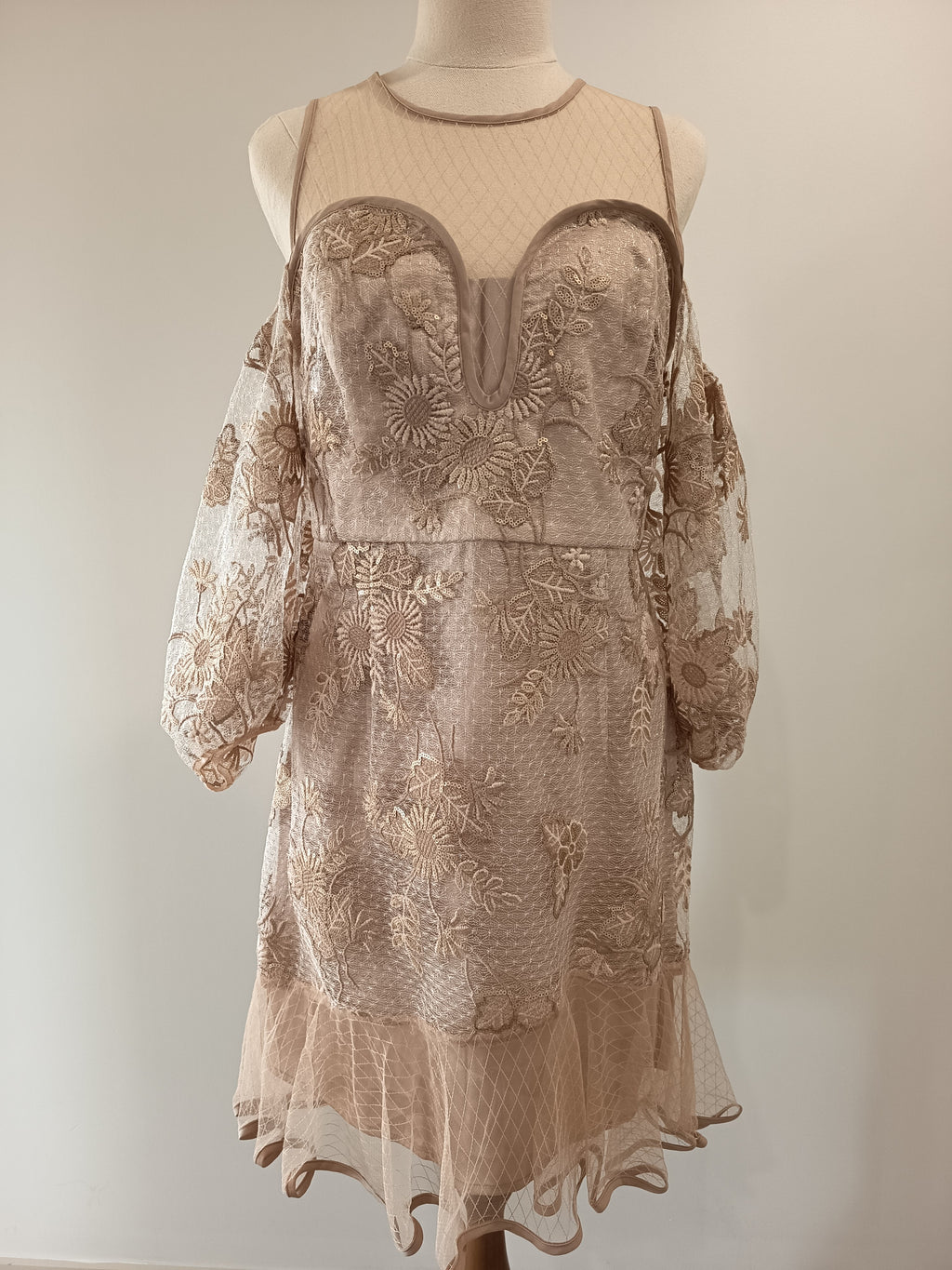 Alice McCall Mystery Mini Dress (14)