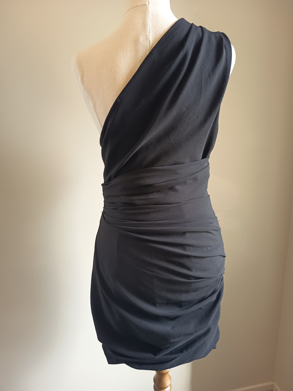 Camilla and Marc Percale Mini Dress (8)