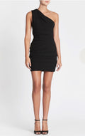 Camilla and Marc Percale Mini Dress (8)