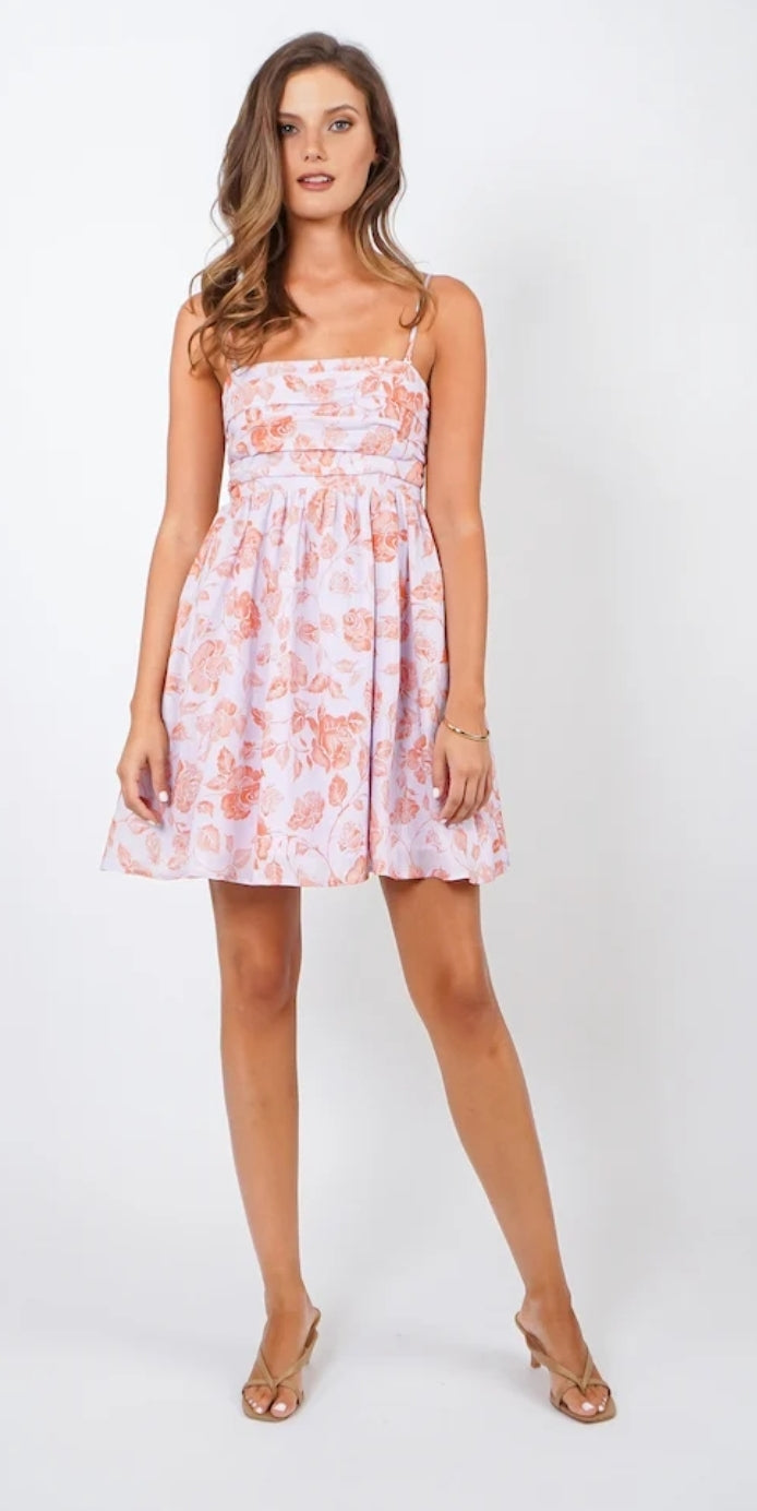 Lakeyo Emerita Mini Dress