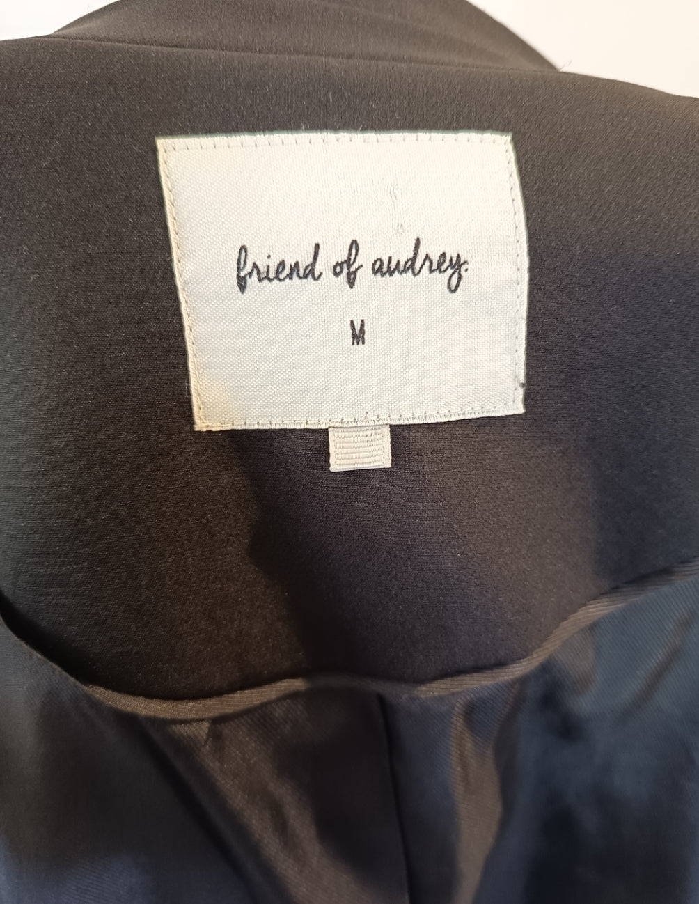 Friend of Audrey Blazer (M)