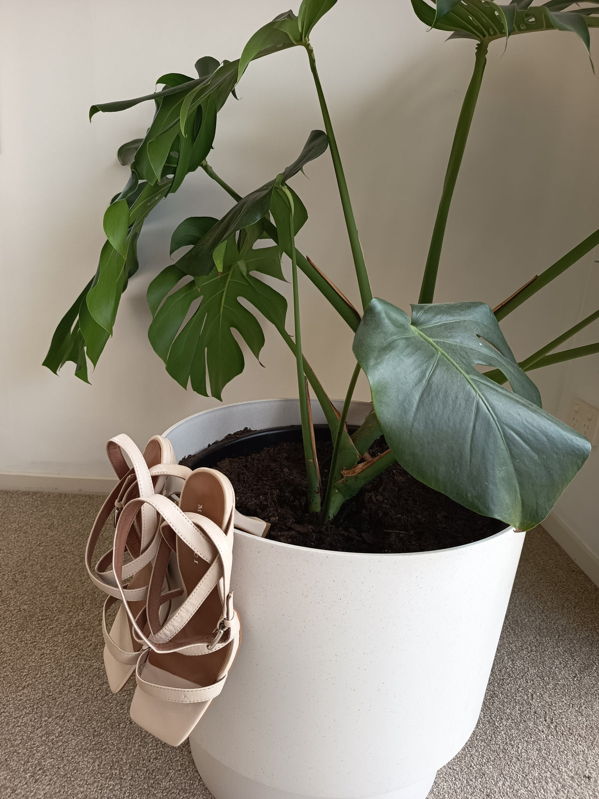 Mi Piaci Strappy Kitten Heels