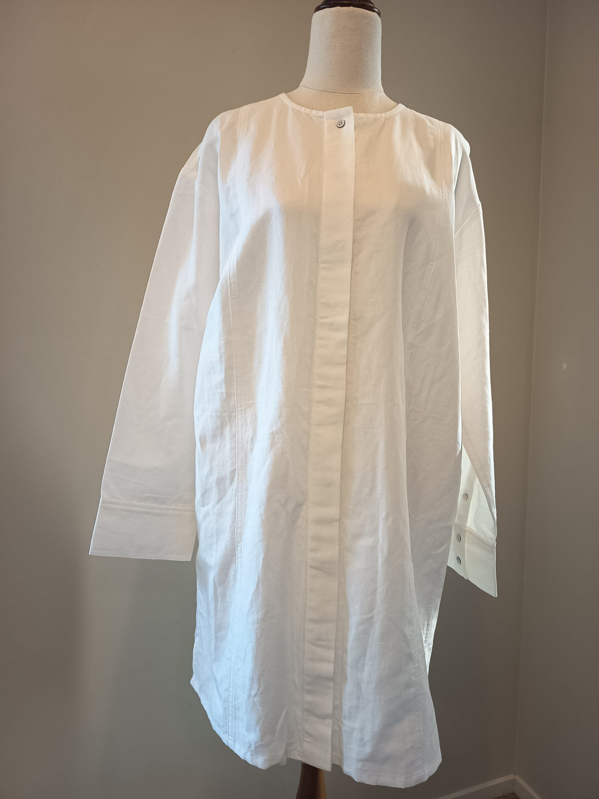 Assembly Label Cotton/Linen Shirt Dress (10)